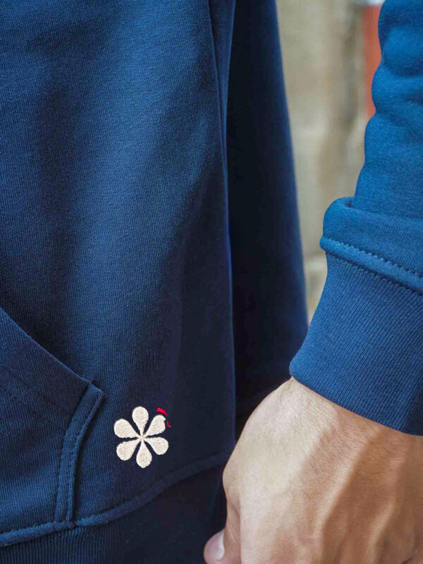 logo maison tricolore
